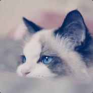 JOJO~我不做人啦！！