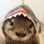 freaking LOVE otters :3