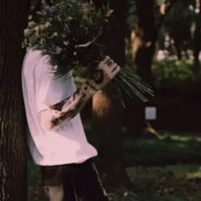 我与她皆是遗憾