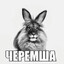 Либерда