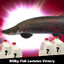 Huge Arapaima