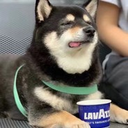 老熊威胁牛子出水