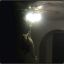 Kitty Lights