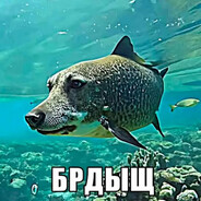 xero_lp