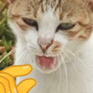 负责开枪做做样子