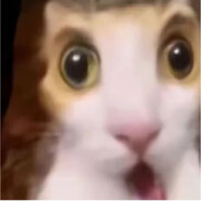 大肘子