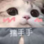 瓜瓜猹