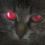 V1taly666