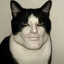猛虎王