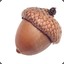 ACORN