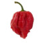 REAPER