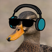 Quack Head