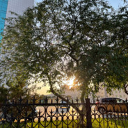 别再让我心动啦