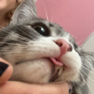 mlem
