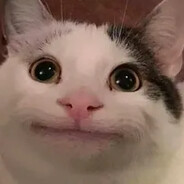 ⁱᵃᵐ|𝚌𝚊𝚝𒆜