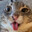 Nubbzy's Avatar