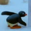 MF NOOT NOOT