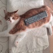 女人和小孩可以犯错