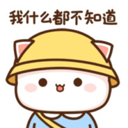 电脑玩家 猫猫头