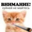 сашенька федук