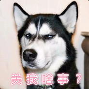 不听不听.无甲沙鹰