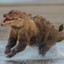 SlugTugger