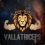 VallaTriceps ツ