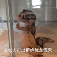 爱来自快乐星球