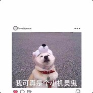 大                圣