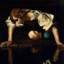 Narcissus