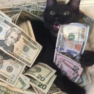 你好，买一颗瓜子吗？