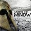 Mindwar