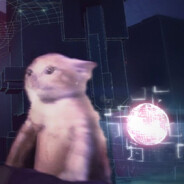 pom