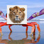 LionCrab61