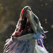 你靠这么近，不会是想偷尝我的手剥大橘巴？