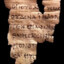 p52 papyrus