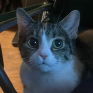 oznamo