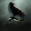 Raven