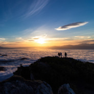 她与疾风皆是过客