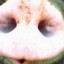 Tilzit