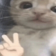 󠁳 󠁳