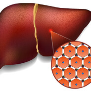 Hepaticresidue's Avatar