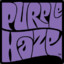 purple haZe