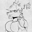 Wolf T Proto