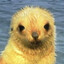 enriq