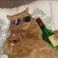 GATO ALCOHOLIZADO