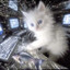 Astrogator