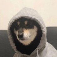 常住海边喜欢浪