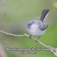 Erkj