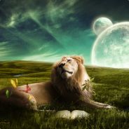 Kimsalabim - steam id 76561197960629714